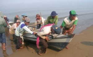 Nelayan di Pantai Barat Tidak Melaut
