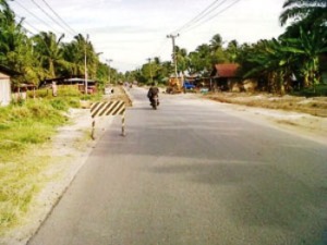 Agar Mudik Lancar Jalinsum Harus Diperbaiki