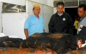 PT. SBN: Kebakaran Pabrik, Kerugian Ratusan Juta