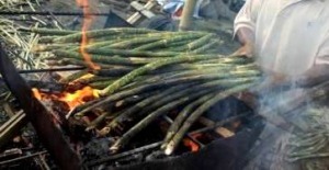 Pusuk Ni Otang Juga Didatangkan Dari Pasaman