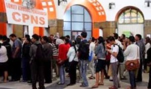 Pendaftaran CPNS 2013 Mulai Dibuka