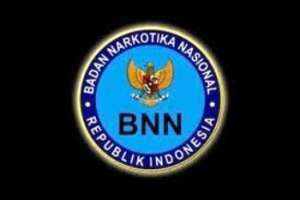 BNN Amankan Isteri Oknum TNI Edarkan Narkoba