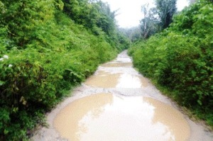 Jalan Muara Sipongi – Pakantan Makin Rusak