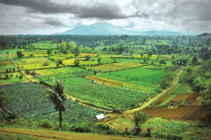 Sinabung Aman, Jangan Terprovokasi