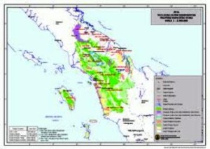 Temui Menhut, Pemprov Pulang Tanpa Hasil