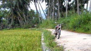 Jalan Terbangun, Kenderaan Sudah Mudah Ke Sawah