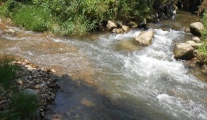 30 Tahun  Aek Macom Rusak Areal Perswahan