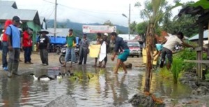 Kecewa Kondisi Jalan, Warga Bertanam dan Beternak Di Badan Jalan