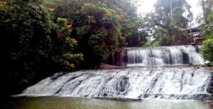 Sampuran Caroke Yang Eksotis (foto 1)