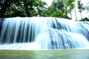 Sampuran Caroke Yang Eksotis (foto 3)