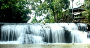 Sampuran Caroke Yang Eksotis (foto 5)