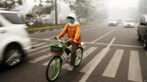 LSM kritisi ratifikasi perjanjian kabut asap