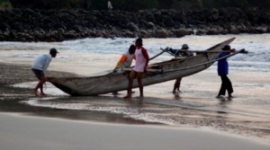 Sektor Pertanian Landasan Pondamental Ekonomi Makro Madina Termarjinalkan? (bagian 2-habis)