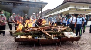 Polres Madina Musnahkan 65 Kg Ganja