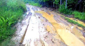 Kondisi Jalan di Kecamatan Yang Memprihatinkan dan Janji-janji Bupati Madina