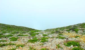 Wisata Kemah di Puncak Gunung Sorik Marapi
