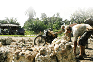 Harga Karet Terendah Dalam Lima Tahun Terakhir