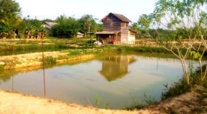 Pemkab Madina Dinilai Gagal di Sektor Perikanan