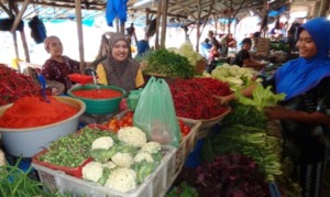 Harga Cabe Merah di Madina Anjlok