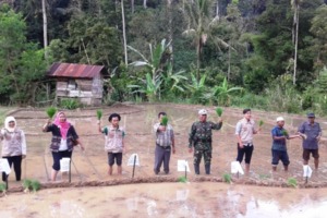 Tanam Perdana di Simpang Tolang