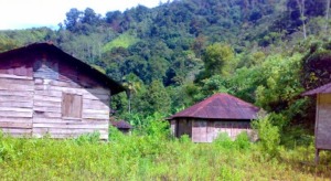 Desa Aek Nabara Berada di Hutan, Bidan Desa Tak Mau Datang
