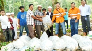 PT SMGP Bersama Petani Kembangkan Budidaya Ikan di Purba Lamo