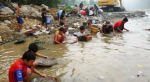 Hidup Sulit Akibat Harga Karet Murah, Anak-Anak Ikut Mendulang Emas