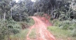 Jalan Tak Pernah Bagus, 6 Desa Merasa Anak Tiri