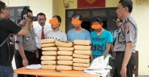 Satuan Narkoba Polres Madina Tangkap 3 Pembawa 20 Kg Ganja