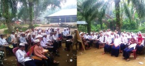 Dua Tahun Belajar di Bawah Pohon Sawit