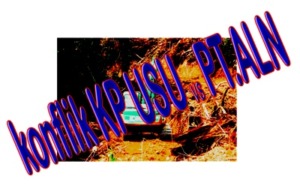 Direktur Utama  PT ALN Ditahan Mabes Polri