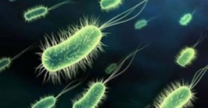 Penyakit Difteri Ditemukan di Madina, 1 Orang Meninggal Dunia