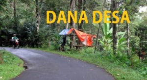 Dana Desa Harus Diarahkan kepada Infrastruktur Ekonomi