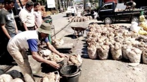 Harga Karet Naik 500 Rupiah