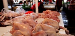Harga Daging Sapi Normal, Ayam Naik