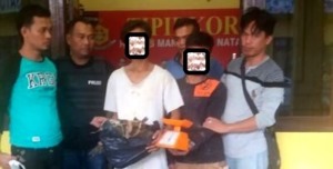 Grebek Rumah Pelaku Curanmor, Tapi 12 Bal Ganja Yang Didapat