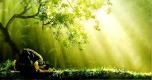 Makna Kemenangan di Idul Fitri