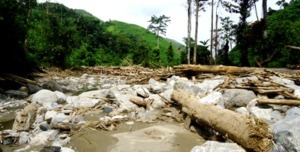 Orang Kaya Panyabungan dan Oknum Pejabat Gunduli Hulu Sungai Rantopuran