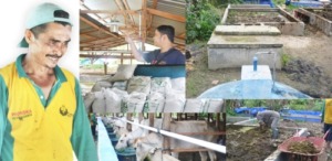 Melirik Produksi Pupuk Organik di Desa Rumbio