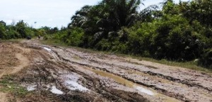 Jalur Natal-Batahan, Jalur Lumpur Tebal