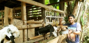 Bank Sumut Siapkan Rp 25 Miliar untuk Kredit Pemula