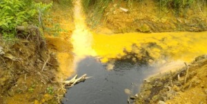 Limbah PT.TBS di Patiluban Diduga Bermasalah