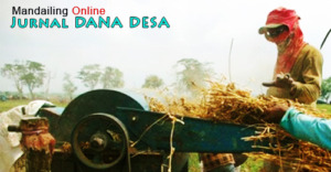 Madina Masuk Lima Besar se-Sumut Penerima Dana Desa 2017