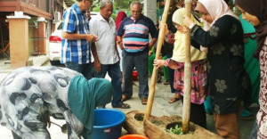 Manduda Bulung Gadung di Kerangai, Malaysia