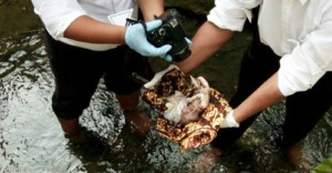 Serial HUT Madina : Orok Bayi Ditemukan Terbuang di Hutabargot