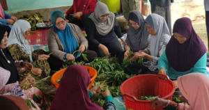 Mulak Tu Huta Mandailing Malaysia, Manduda “Bulung Gadung” Hingga “Mangan Mangoloi”