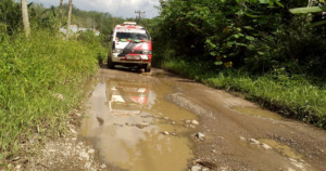 30 Persen Ekspor Pepaya Runding Hancur Gegara Kerusakan Jalur Longat-Runding