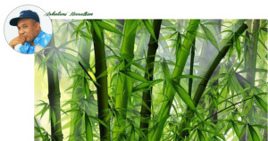 “Filosofi Bambu”