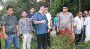 Pohon Karet Ditebang, Warga Simangambat Gugat Oknum Bupati Madina