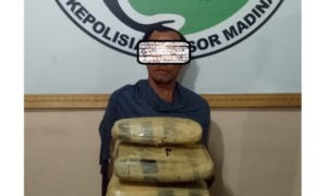 Polres Madina Tangkap Satu Tersangka Pembawa Ganja 5 Kg  